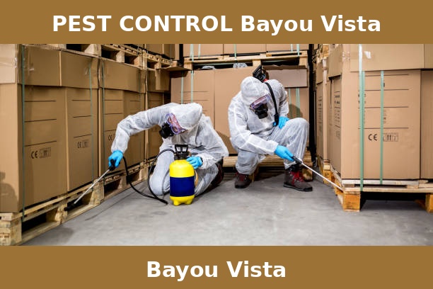PEST CONTROL Bayou Vista